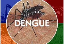 Saúde divulga novo boletim epidemiológico da dengue Saúde divulga novo boletim epidemiológico da dengue