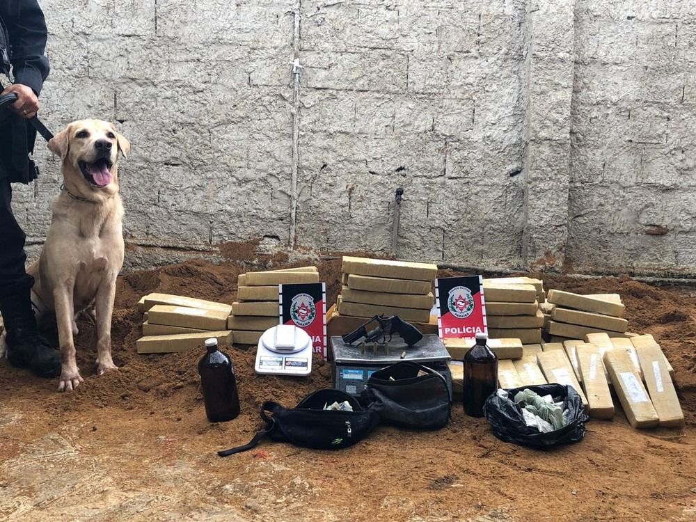   Operação apreende 60kg de maconha nesta quarta-feira (17) na Paraíba