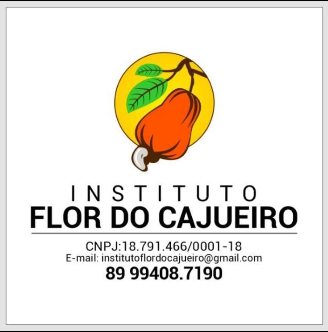 Instituto Flor do Cajueiro divulga realização de encontros e oficinas de empreendimento neste mês de junho