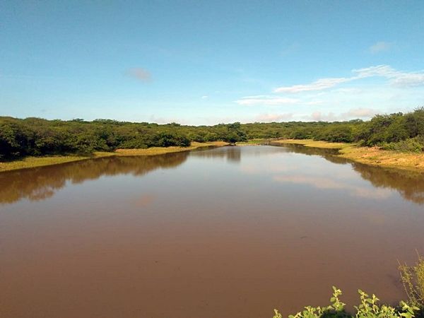 Chove 125mm na Fazenda Nossa Senhora de Lourdes, em Catingueira; veja vídeo e fotos