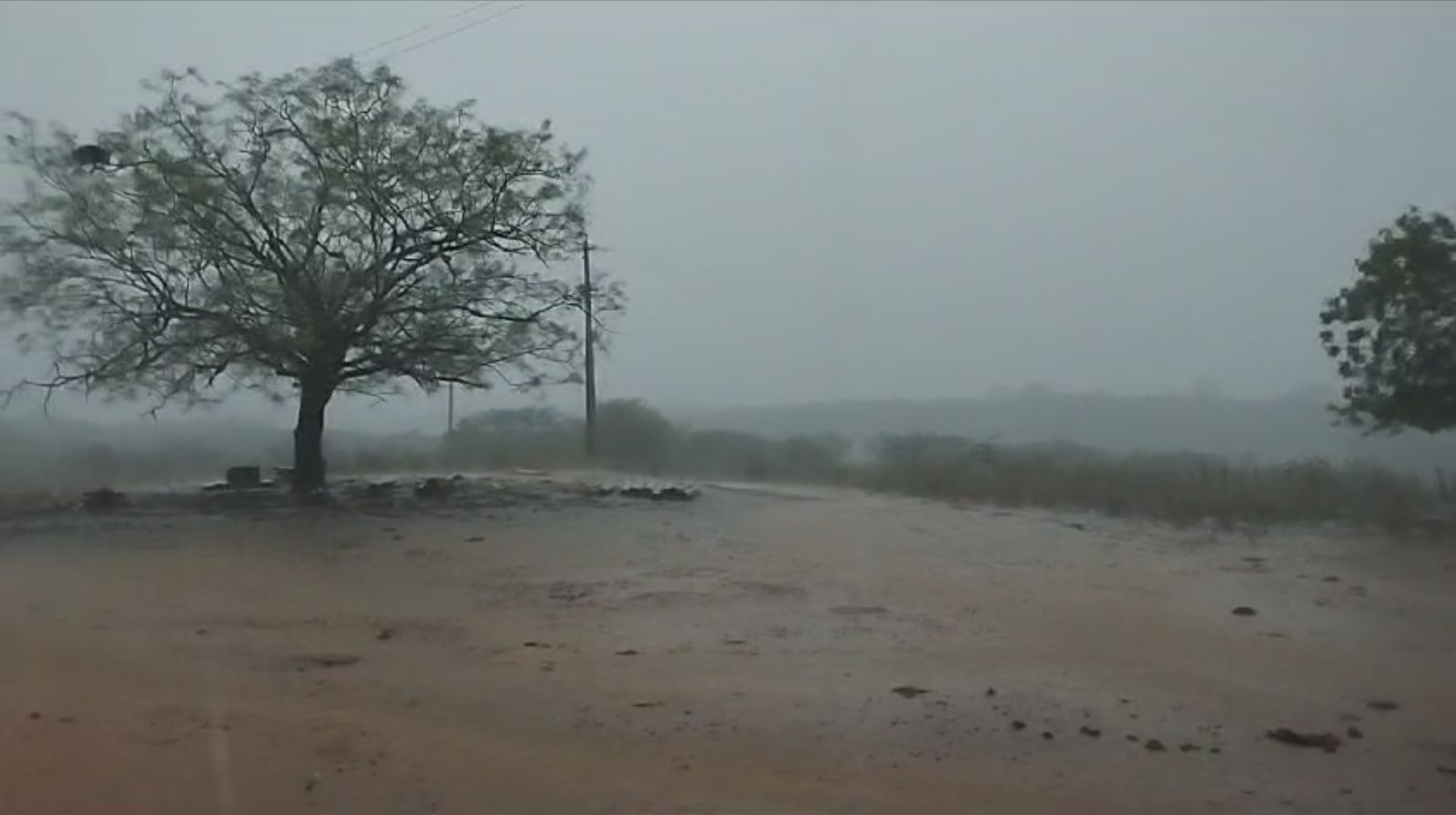 Chove 75 mm no município de Catingueira na tarde desta segunda (27); veja vídeo