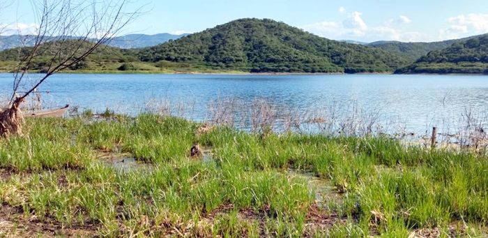 Barragem de Capoeira recebe mais 20 cm em sua lâmina d’água e ultrapassa 13.5 milhões  m³ de água