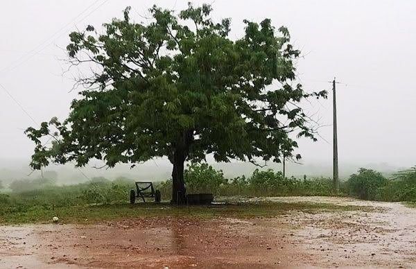 Chove 120 mm no Assentamento Aroeira, zona rural do município de Santa Terezinha