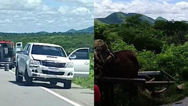 Carroceiro fica gravemente ferido em colisão na BR-230, próximo a Santa Gertrudes; Veja detalhes