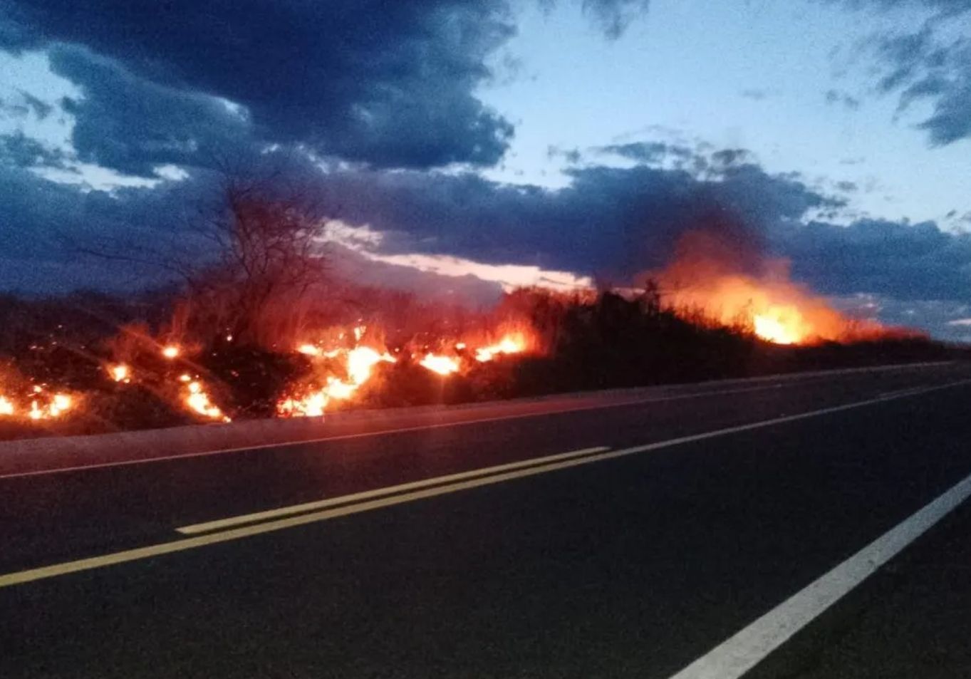 Incêndio atinge área de vegetação às margens da BR-230, entre Patos e o distrito de Santa Gertrudes