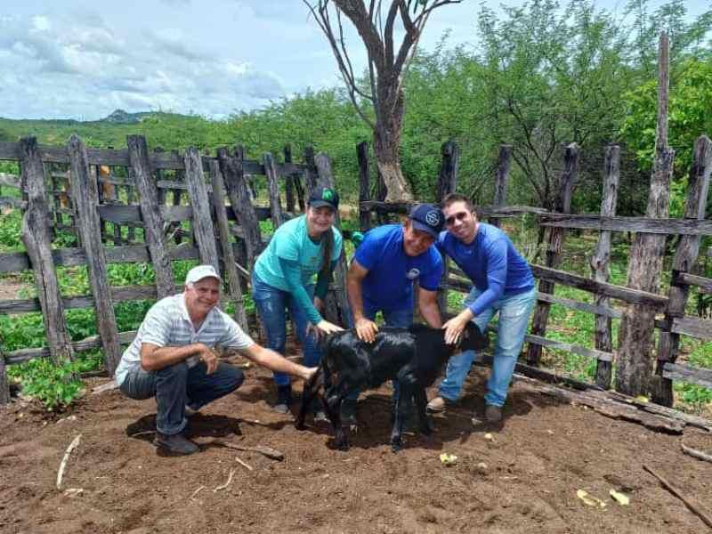 Nasce primeiro bezerro de inseminação do Programa de melhoramento genético bovino na zona rural de Patos