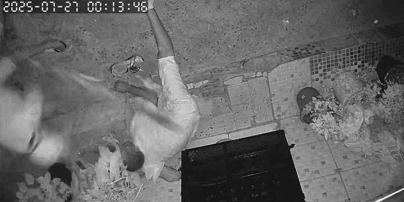 Vídeo: câmera flagra filho agredindo próprio pai com pedaço de madeira em Coremas