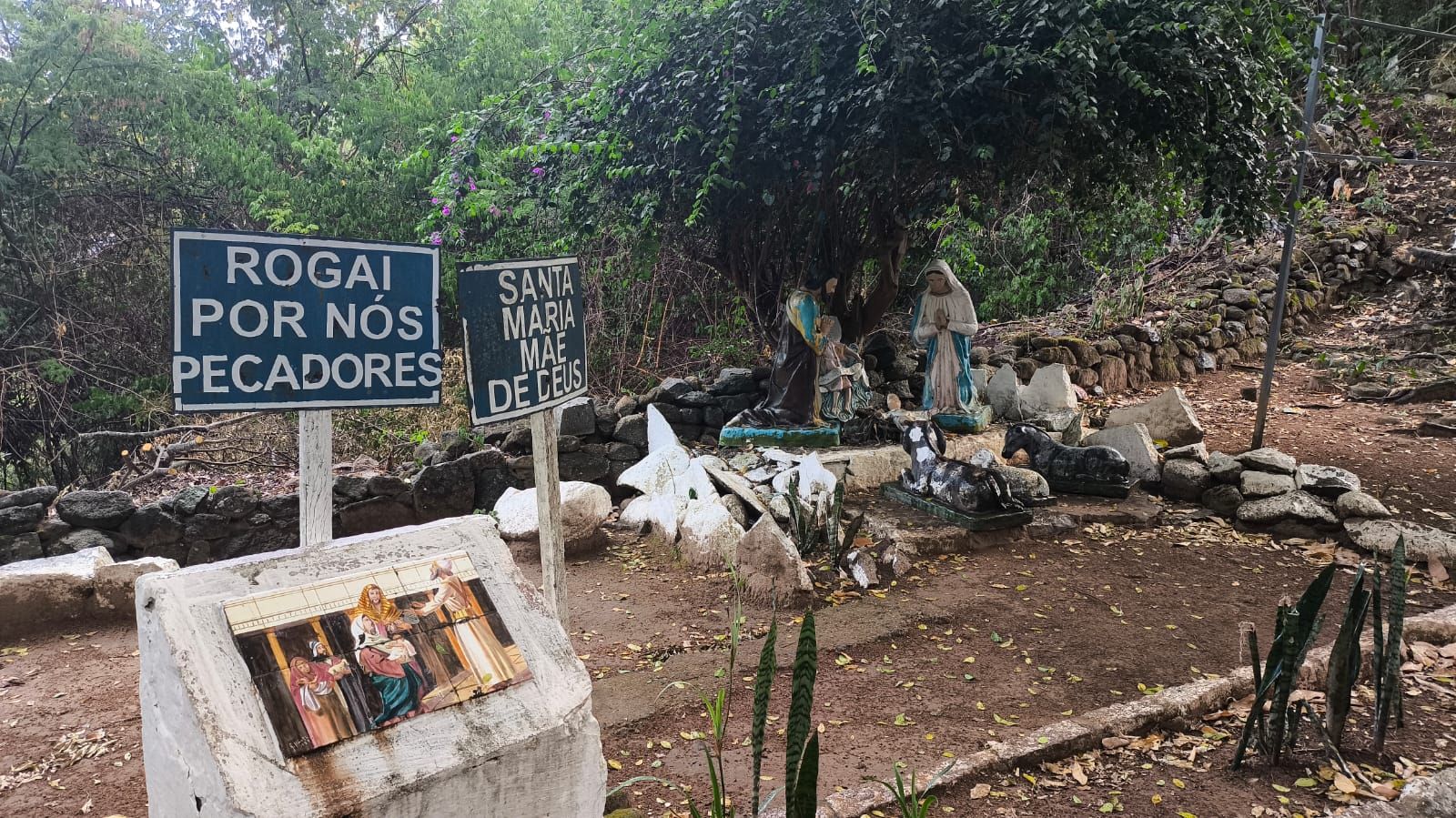 Caminhos da Fé: MV2 levam peregrinos paraibanos para conhecer Cimbres, onde Nossa Senhora das Graças apareceu várias vezes; vídeo e fotos