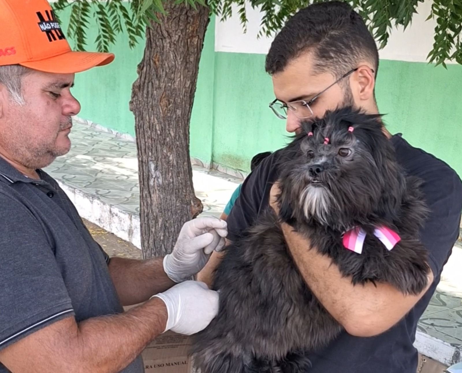 Veja o Cronograma da zona rural da Campanha de Vacinação Antirrábica de Santa Terezinha