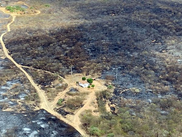 Imagens mostram como ficou área atingida pelo fogo no município de Santa Terezinha 