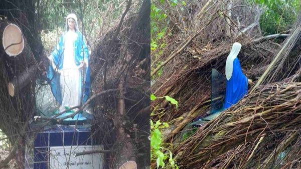 Árvore cai em cima de santuário, mas imagem de Nossa Senhora fica intacta