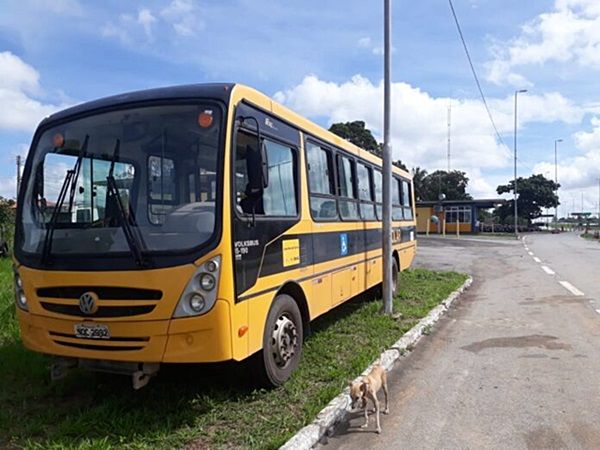 PRF prende motorista dirigindo ônibus escolar embriagado