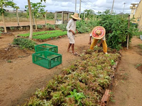 Frutas e legumes produzidos por detentos do Romero Nóbrega, em Patos, são doados à Pastoral da Criança de Santa Terezinha