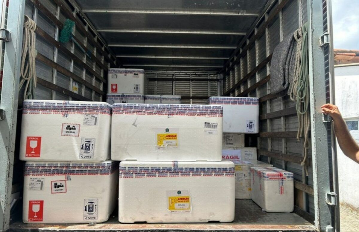 Paraíba inicia vacinação de gestantes contra o vírus sincicial respiratório com chegada de primeiras doses