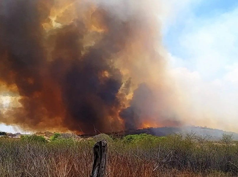 Incêndio na comunidade Lajedo, em Santa Terezinha, avança pela região neste domingo (25)