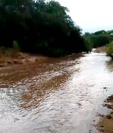 Vídeos: Chove bastante na região de Catingueira-PB e riachos começam a correr em direção aos mananciais