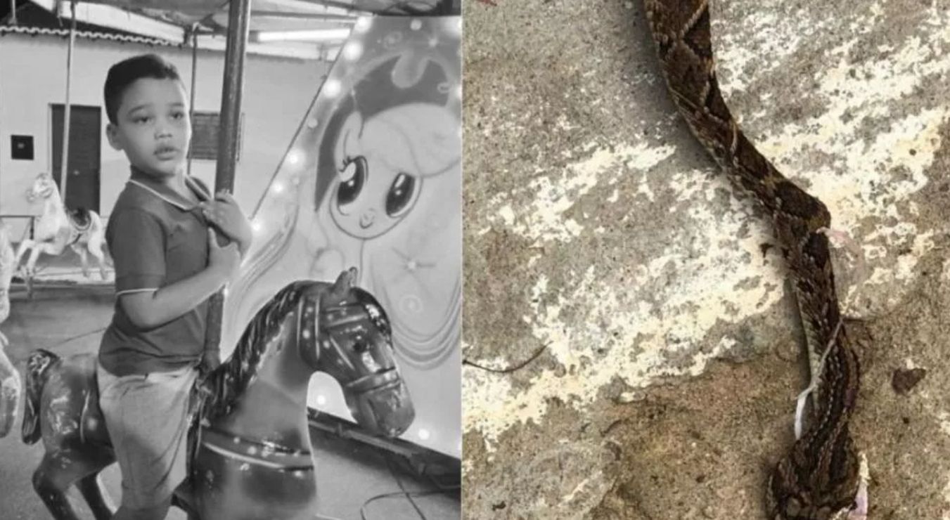 Menino de 4 anos morre no Hospital Infantil de Patos após picada de cascavel dentro de casa em Equador-RN