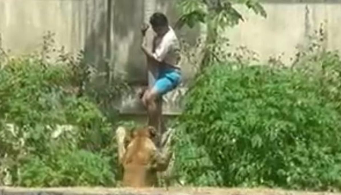 Homem morre após invadir recinto de leoa na Bica, em João Pessoa