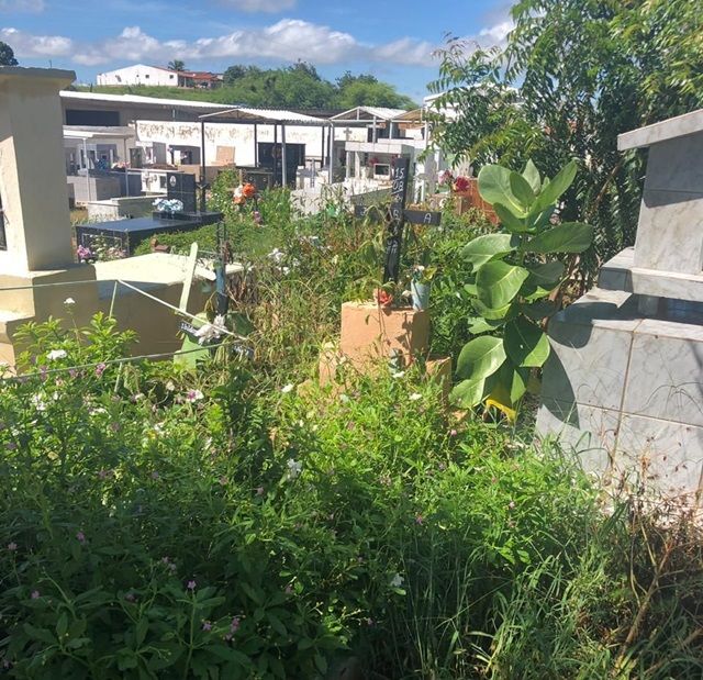 Comerciante denuncia falta de cuidados com cemitério, estádio de futebol e falta de limpeza pública em Catingueira