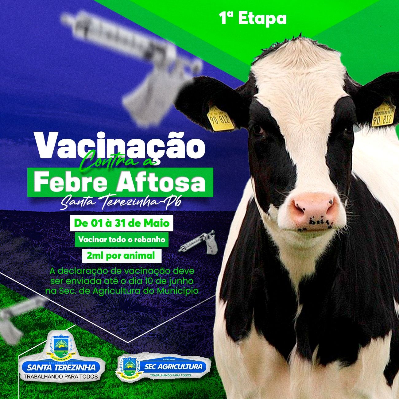 Secretaria de Agricultura de Santa Terezinha anuncia 1ª etapa de vacinação contra a febre aftosa