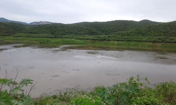 Barragem de Capoeira toma mais de 7 metros de água em sua lâmina, nas últimas 36h