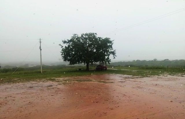 Chuvas vão voltar ao interior da PB, RN, PE e CE nos próximos dias, diz meteorologista  Rodrigo Cézar Limeira; veja 