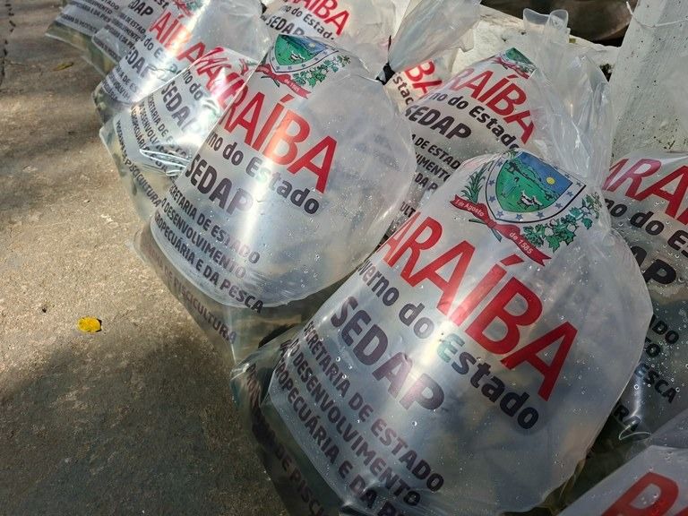 Governo da Paraíba distribui 350 mil alevinos em mais três cidades do Sertão