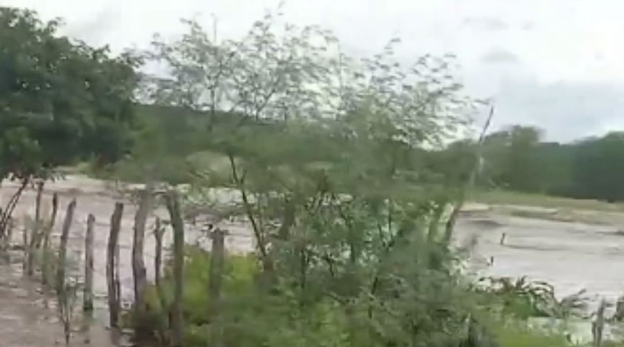 Açude rompe em Nova Palmeira decorrente do grande volume de água; vídeo 