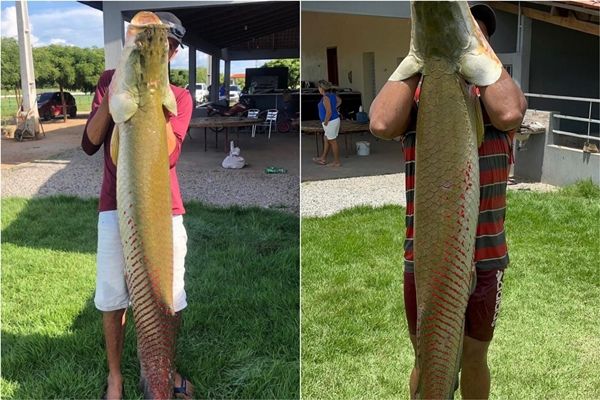Pescadores pegam dois pirarucus com quase 40kg em São João do Rio do Peixe; Veja imagens