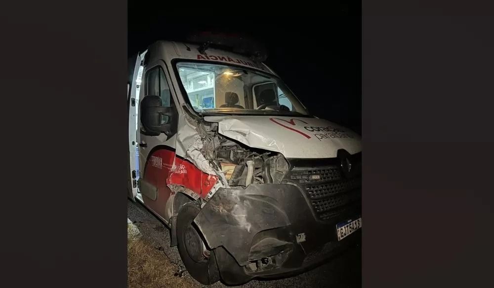 Ambulância do Coração Paraibano, de Patos, colide com vaca na BR-230; equipe passa bem