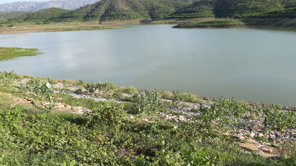 Barragem de Capoeira teve uma recarga de mais de dois milhões de metros cúbicos de água