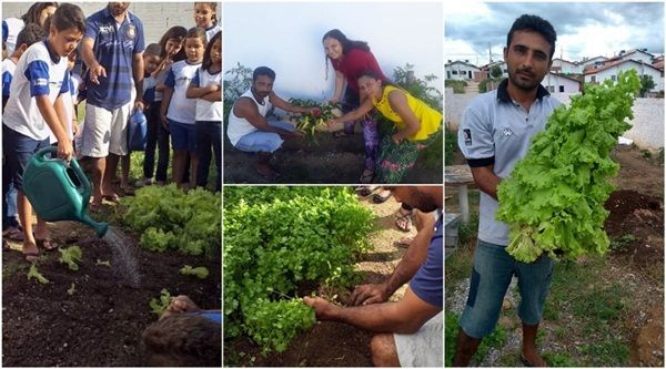 Moradores desenvolvem projeto de horta comunitária no Itatiunga, em Patos