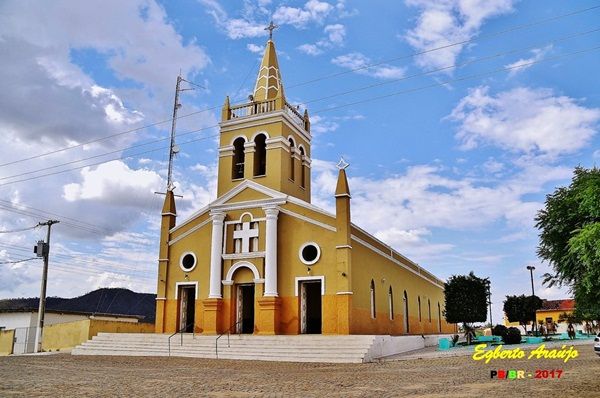 Homem é detido suspeito de matar cadela com chute, em Bonito de Santa Fé