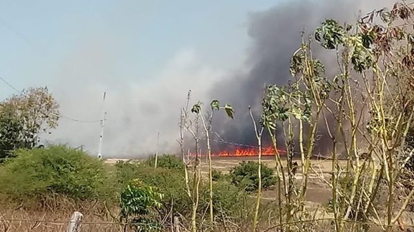 Incêndio na zona Rural na cidade de Santa Helena assusta moradores