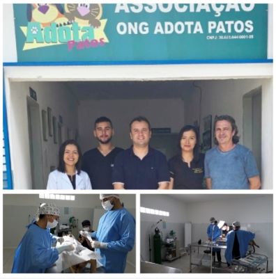 Prefeitura de São Mamede em parceria com a ONG Adota Patos iniciam as cirurgias de castrações de cães e gatos