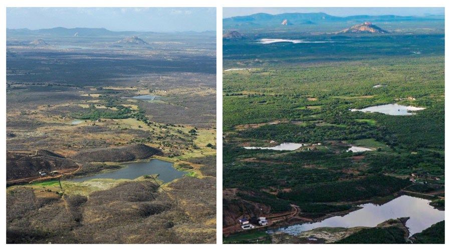 O antes e o depois: A chuva transformando as paisagens do Sertão