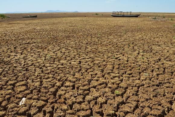 Governo da Paraíba decreta situação de emergência em 177 municípios por conta da estiagem