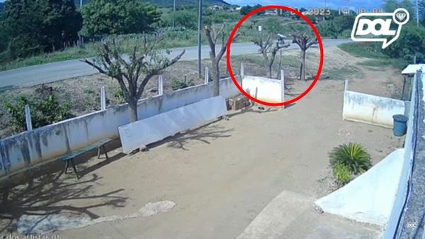 VÍDEO: motociclista morre ao colidir com boi em Itaporanga