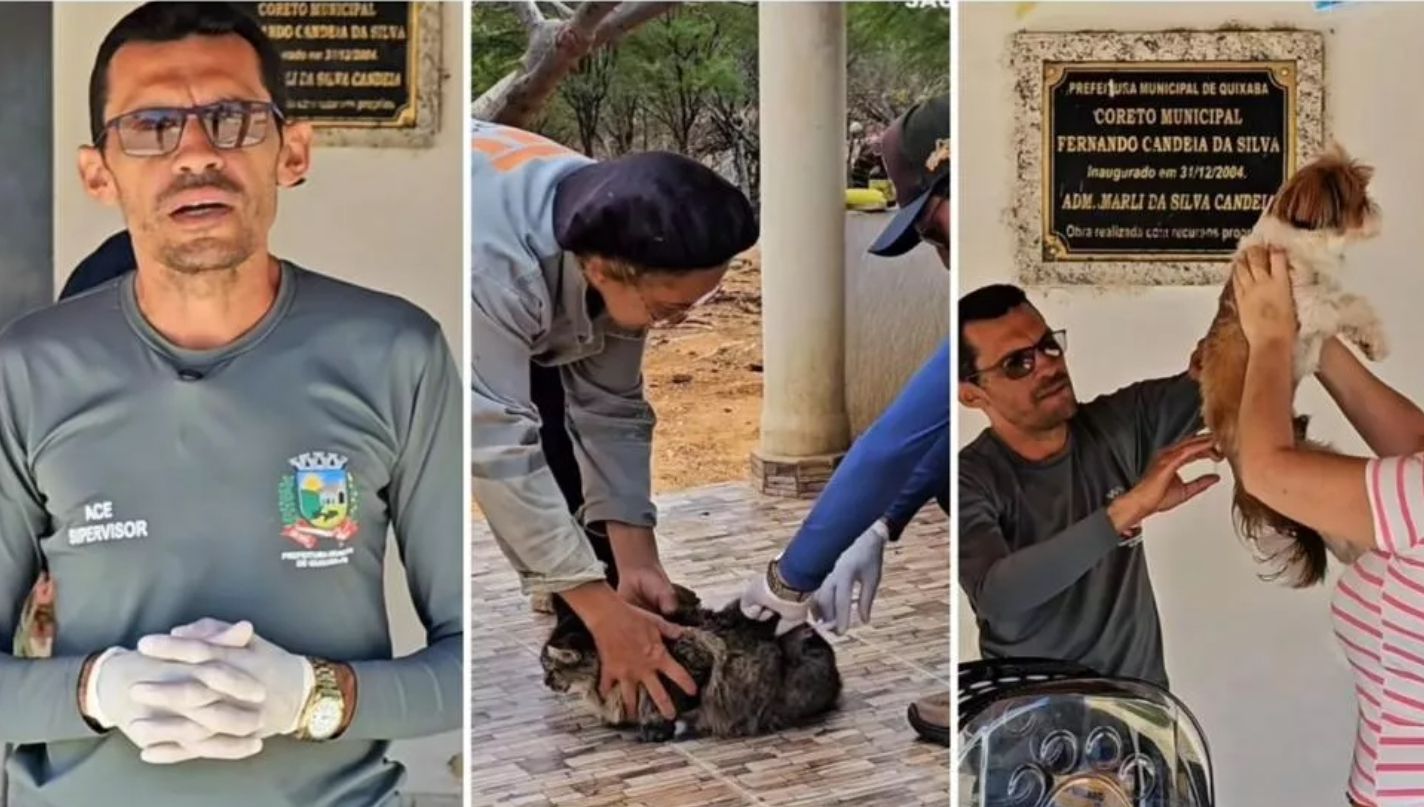 Quixaba-PB realiza Dia D de vacinação antirrábica e imuniza animais em quase 30 localidades