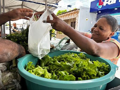 AUMENTO DE RENDA: Oficina Produção de Alimentos Orgânicos chega à Patos e capacitará agricultores locais para chamadas públicas