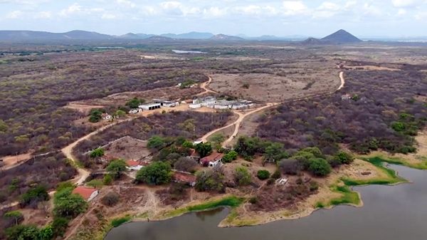 VÍDEO: Fazenda Tamanduá é destaque no programa Globo Rural; programa vai ao ar nesse domingo (30)