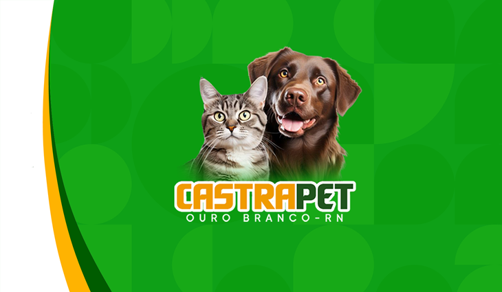 Prefeitura lança Programa Municipal de Castração de Animais